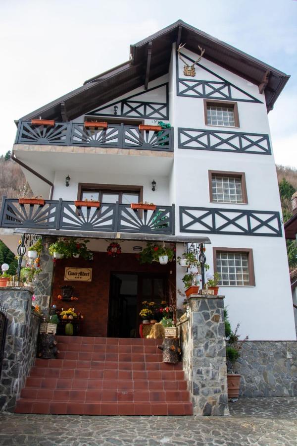 Casa Albert ซินายา ภายนอก รูปภาพ
